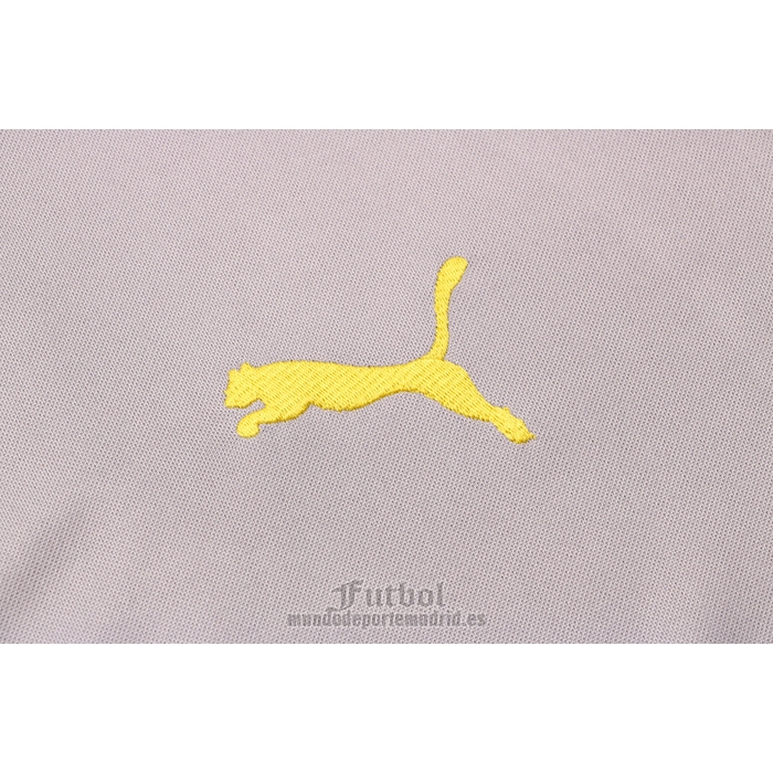 Chandal de Sudadera del Borussia Dortmund 2021-2022 Gris